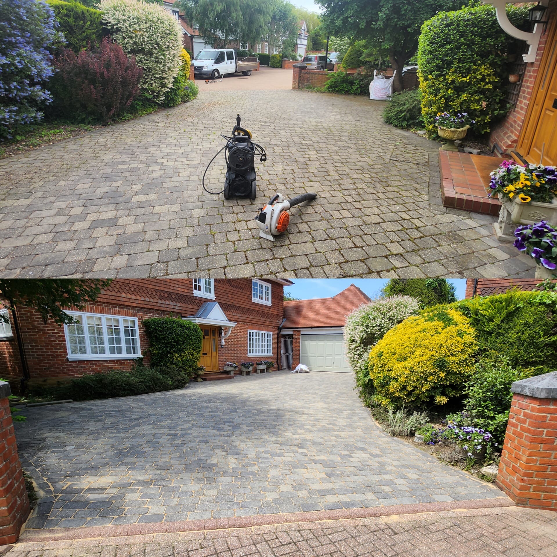 Garden transformation project