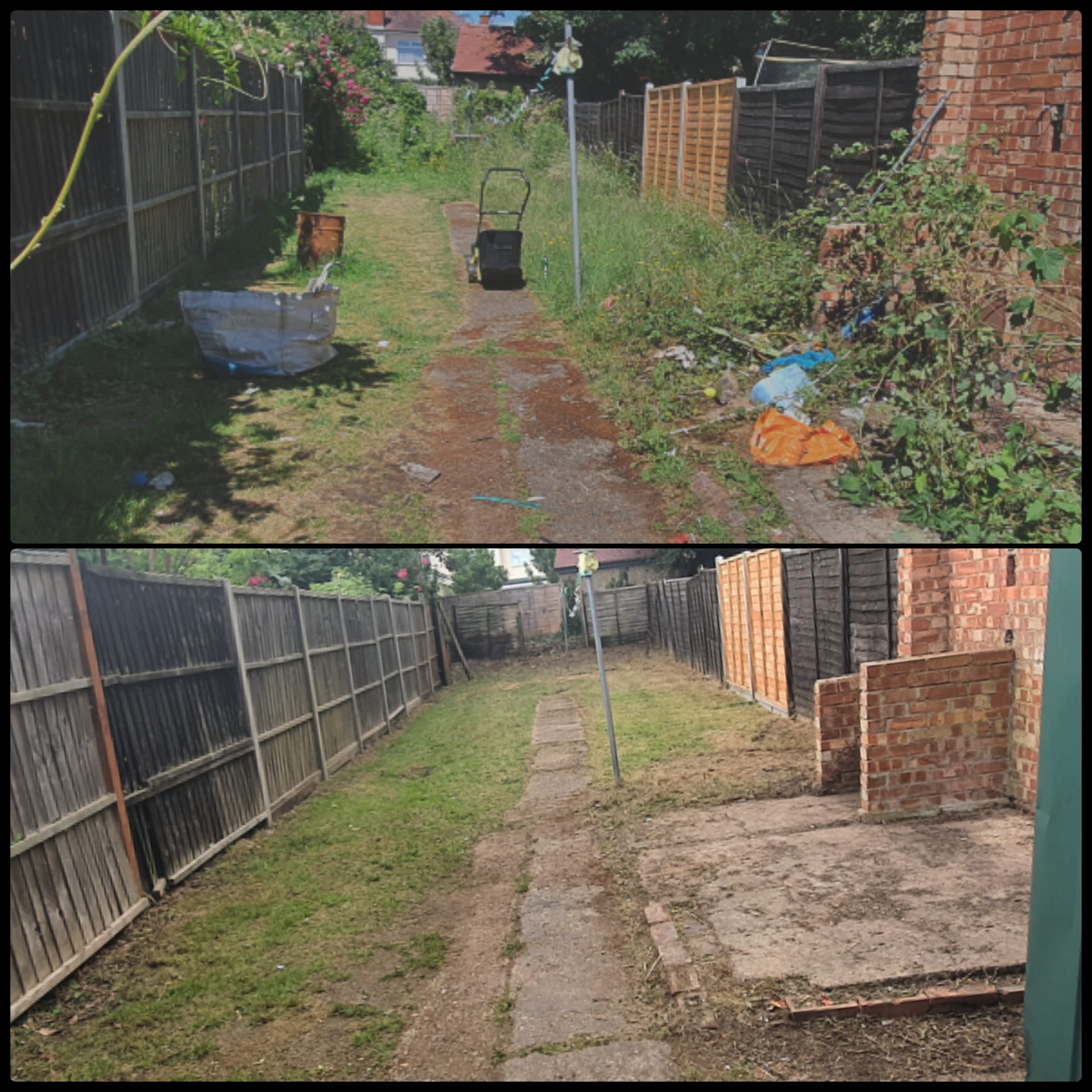 Garden transformation project